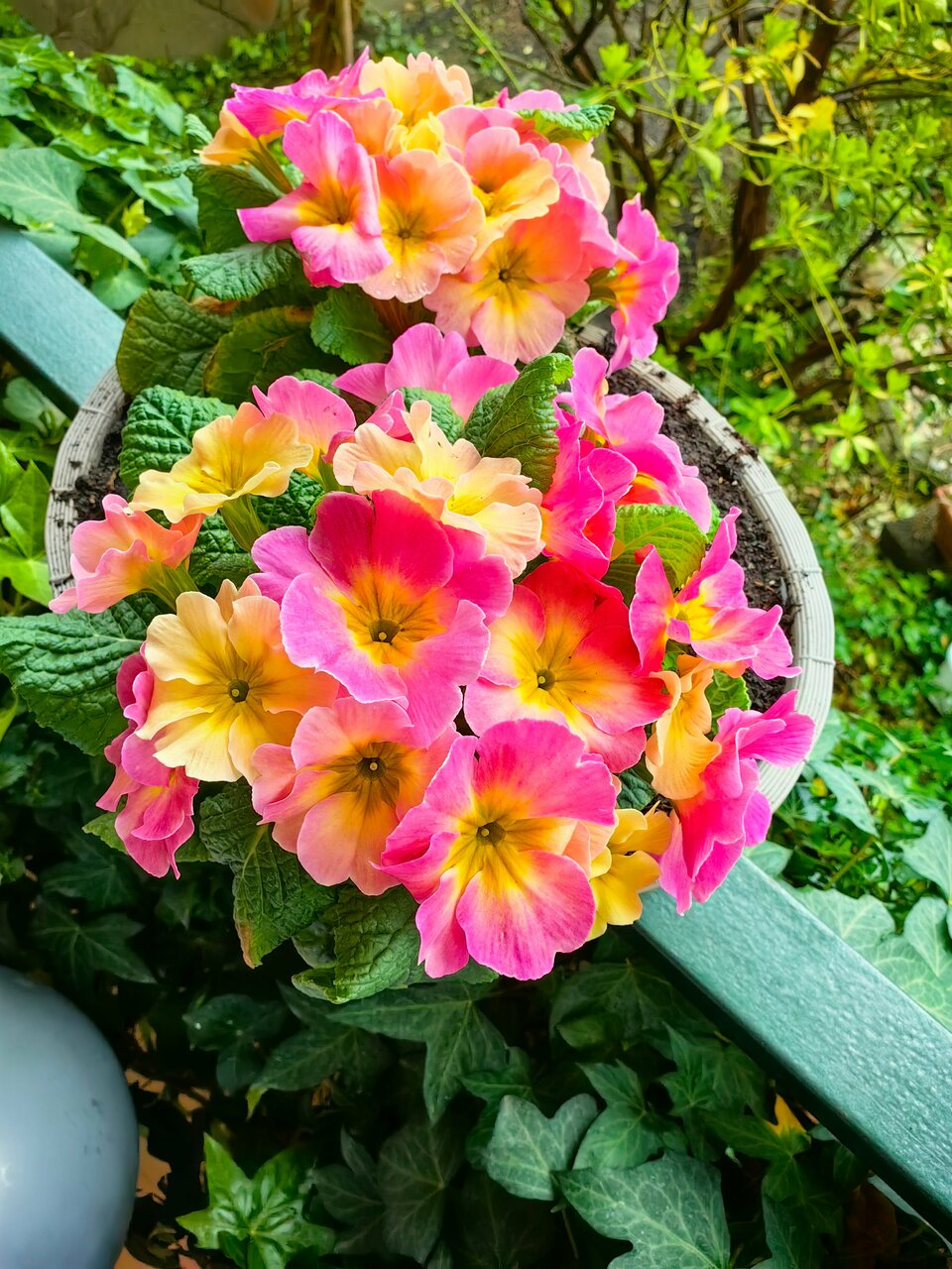 Гостиница Ледис Сочи-20